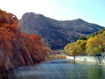 澳门二四六天天彩图库，越南东涛鸡